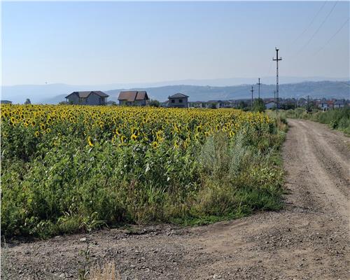 Teren Intravilan 4000 mp,Valea Lupului Rediu